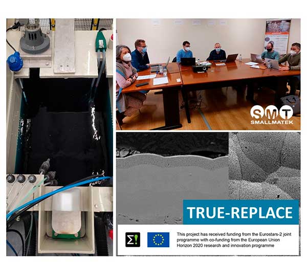 True-replace1.jpg
